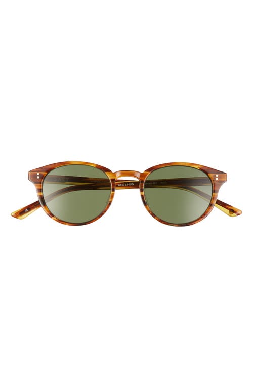 Spencer 48mm Polarized Round Sunglasses in Woodgrain/Green