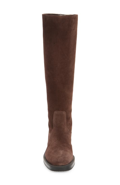 Shop Stuart Weitzman Kaia Knee High Boot In Hickory Sport Suede