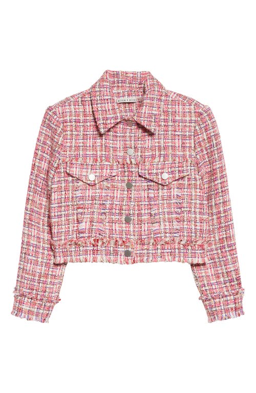 Alice + Olivia Chloe Crop Tweed Shirt Jacket in Candy Multi