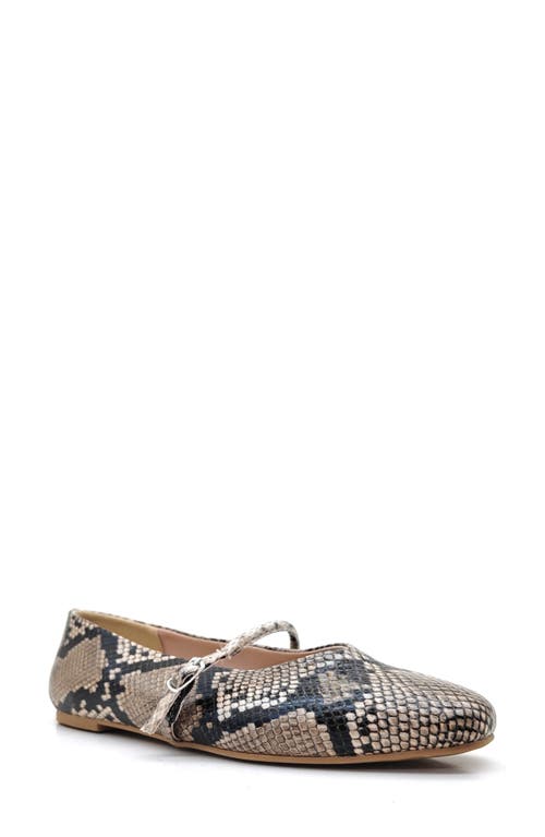Kenneth Cole Magnolia Mary Jane Flat In Snake Embossed