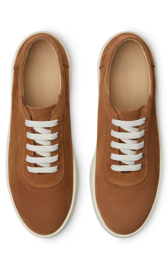 Shop Stuart Weitzman Hamptons Sneaker In Tan