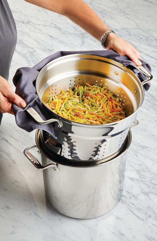 Shop All-clad Stainless Steel 12-quart Multi Pot With Lid