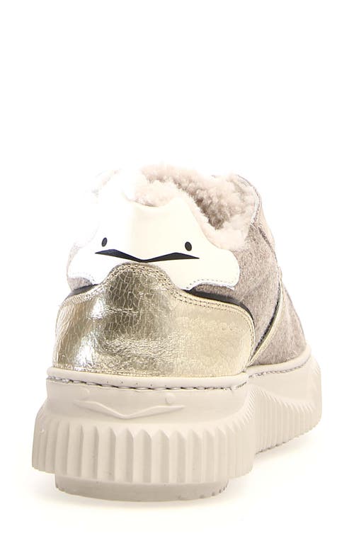 VOILE BLANCHE VOILE BLANCHE LIPARI GENIUNE SHEARLING LINED SNEAKER