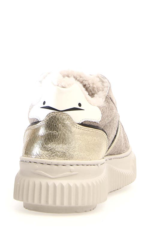 Shop Voile Blanche Lipari Geniune Shearling Lined Sneaker In Cream Beige