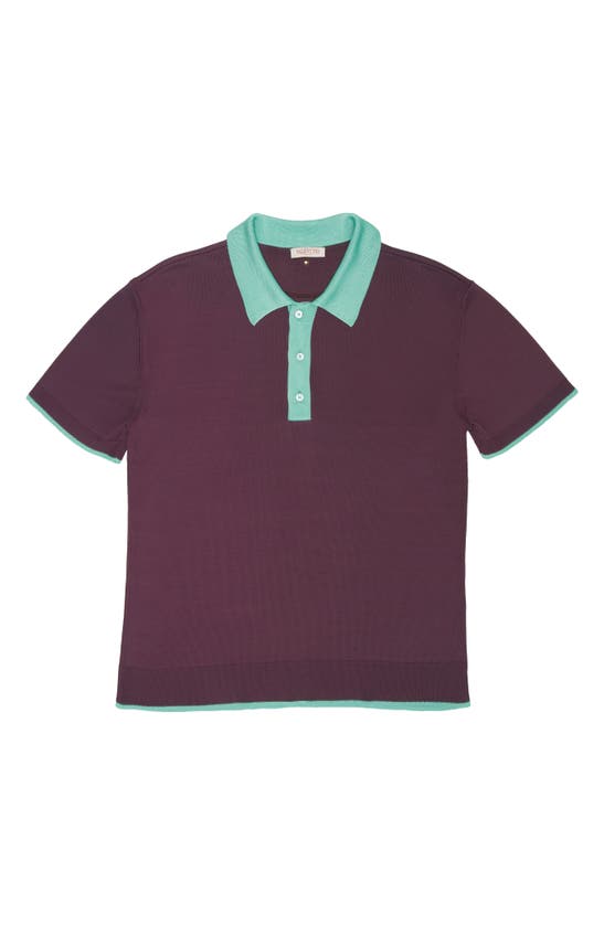 Shop Valentino Contrast Tipped Polo Sweater In Rubin/ Ice Mint