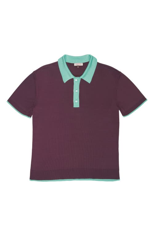 Shop Valentino Contrast Tipped Polo Sweater In Rubin/ice Mint