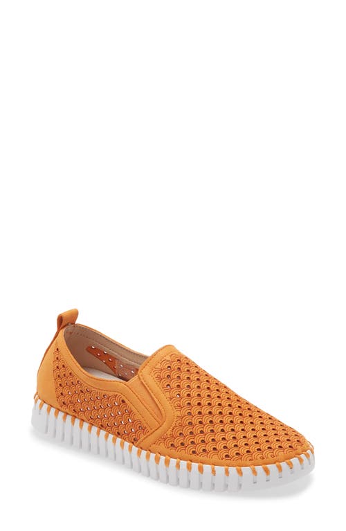 Ilse Jacobsen Tulip Slip-On Sneaker in Mango Sorbet