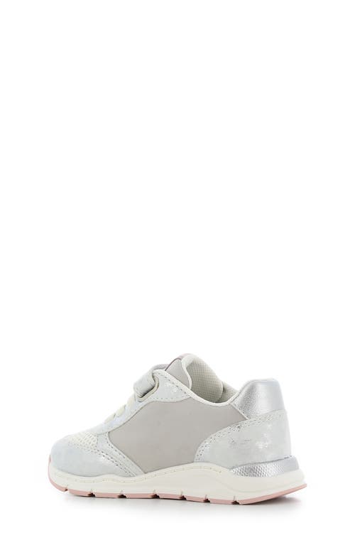 Shop Sj Lifestyle Kids' Luna Sneaker In White/silver