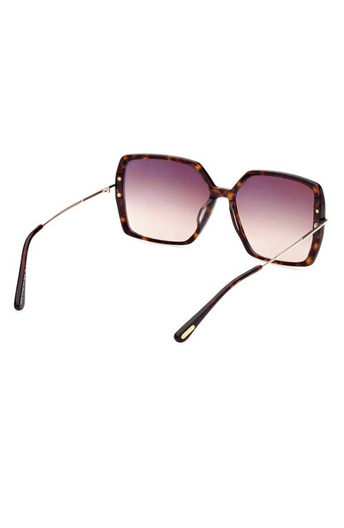 Shop Tom Ford Joanna 59mm Gradient Butterfly Sunglasses In Shiny Havana Rose Gold/brown