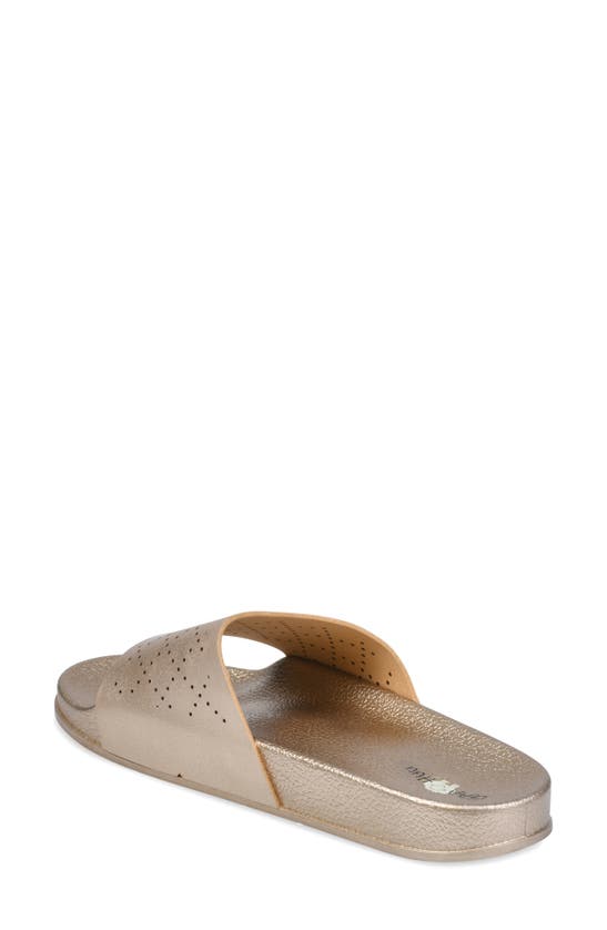 Gaahuu Perforated Slide Sandal In Gold