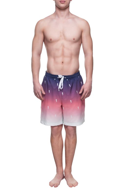 Rokka&rolla Compression Liner Stretch Swim Trunks Upf 50+ In Seahorse
