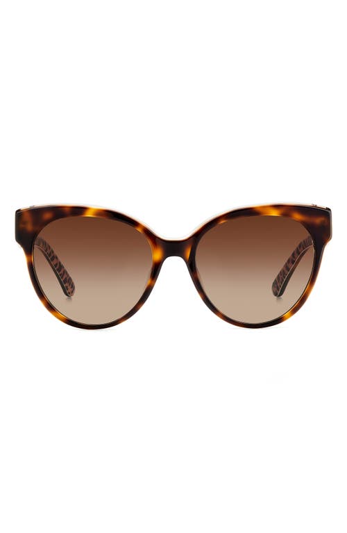 Kate Spade New York aubriela 55mm gradient round sunglasses in Havana Pattern/Brown Polar at Nordstrom