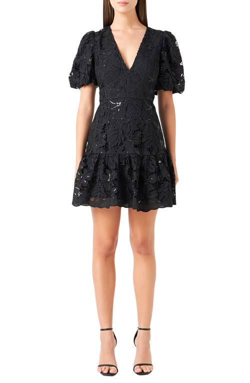 Endless Rose Sequin Lace Fit & Flare Minidress Black at Nordstrom,