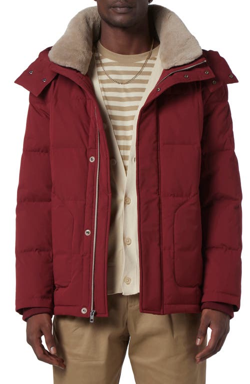 Gorman Genuine Shearling Lined Down Jacket in Garnet