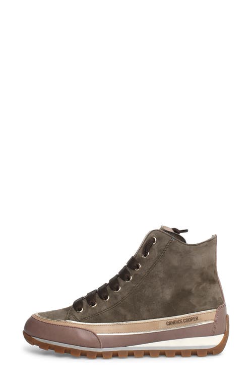 Candice Cooper Janis Strip High Top Sneaker In Army Green