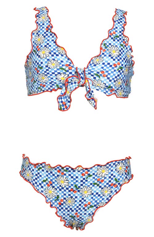 Hobie Kids' Picnic Merrow Two-Piece Swimsuit Multi at Nordstrom,