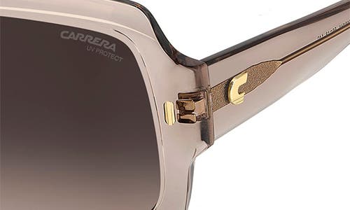 Carrera Eyewear 56mm Gradient Square Sunglasses In Nude/brown Sf