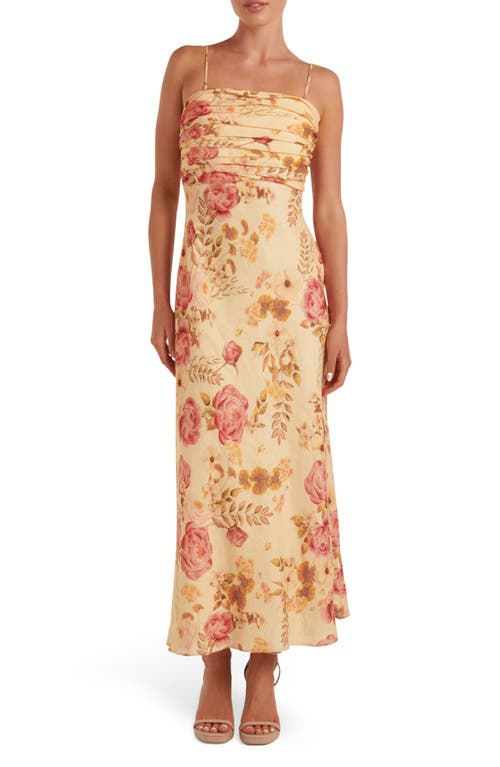Ever New Tasmin Floral Linen Maxi Dress in Hillview Floral
