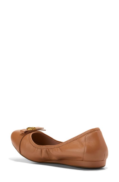 Shop Cole Haan Tova Bow Ballet Flat In Pecan Ltr