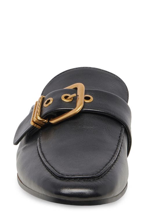 Shop Dolce Vita Santel Buckle Mule In Black Leather