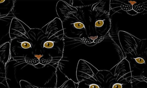 Deny Designs Poesie Garden Throw Pillow In Black Cat