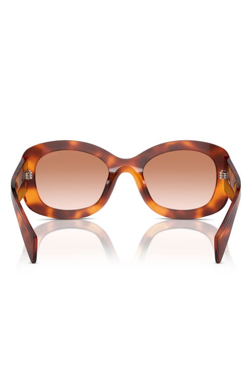 Prada 55mm Gradient Oval Sunglasses In Brown Grad