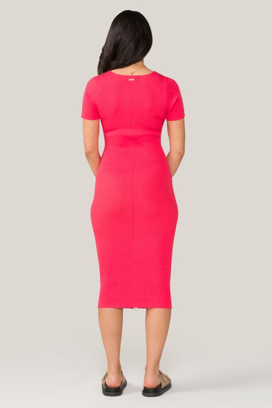 Shop Alala Cambria Dress In Coral