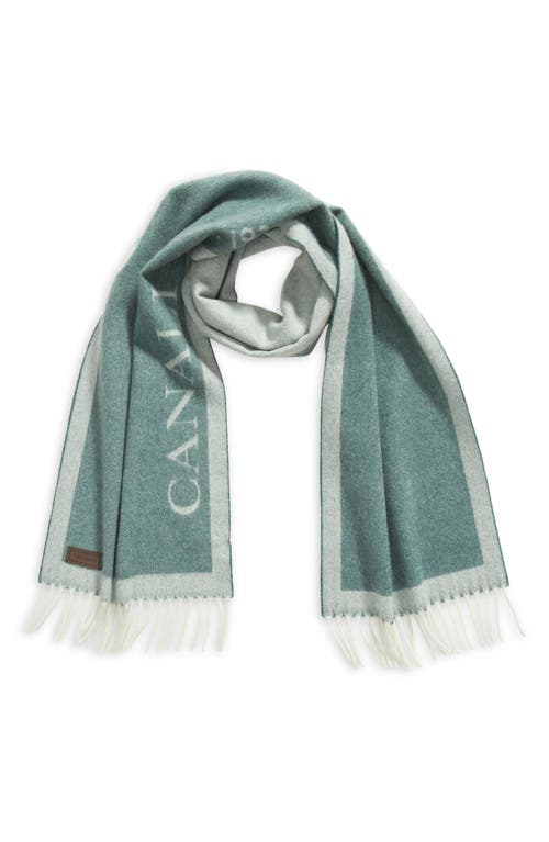 Shop Canali 90th Anniversary Cashmere Scarf In Light Green