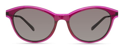 Modo 706 Sunglasses In Pink