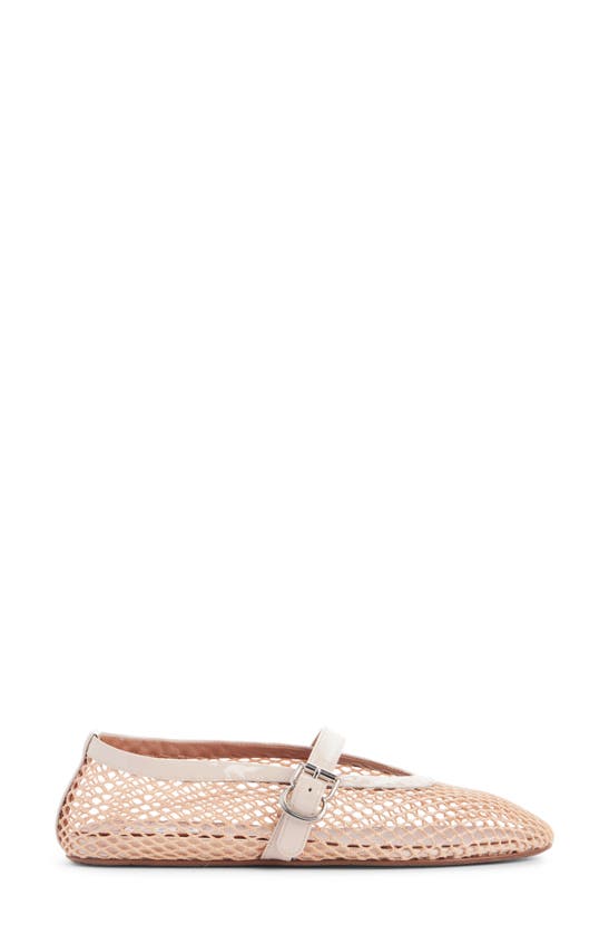 ALAÏA ALAÏA FISHNET BALLERINA FLAT
