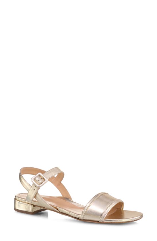 Shop Marion Parke Imogen Ankle Strap Sandal In Soft Gold