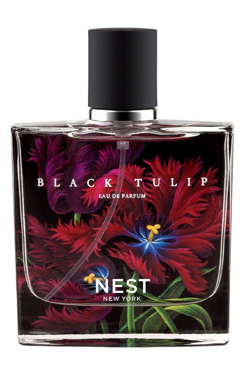 Black Tulip Eau de Parfum in No Colordnu