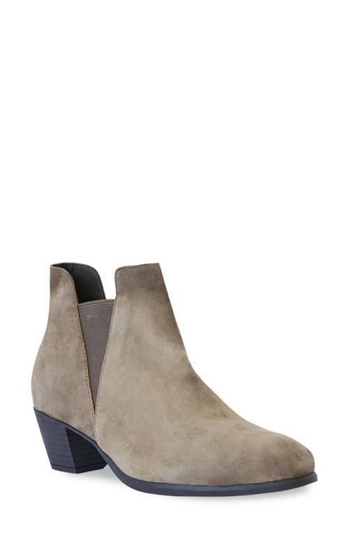 Jackson Chelsea Boot in Sesame Suede