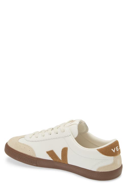 Veja Volley Suede-trimmed O.t. Leather Sneakers In White Tent Bark