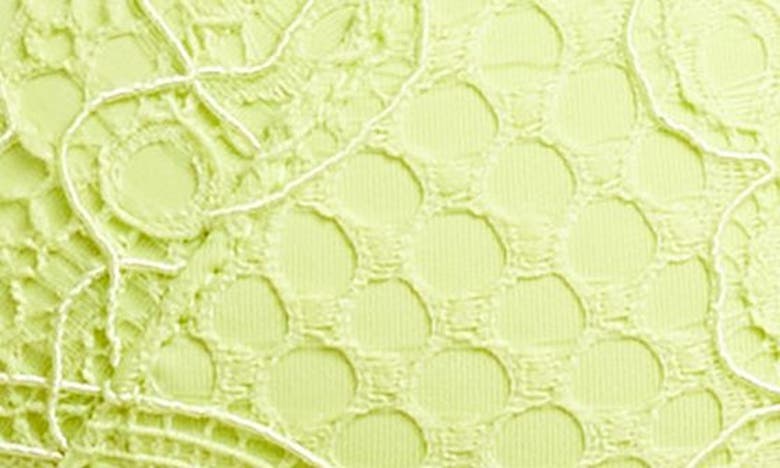Shop Etam Success Lace Bralette In Celery Juice