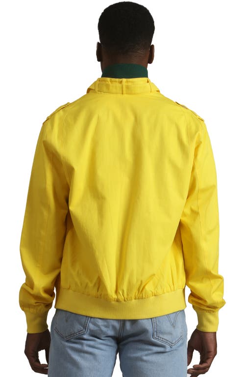 Shop Members Only Classic Iconic Racer Jacket In Yellow