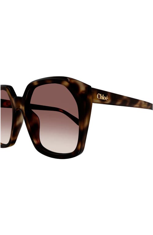 Shop Chloé 57mm Gradient Rectangular Sunglasses In Havana