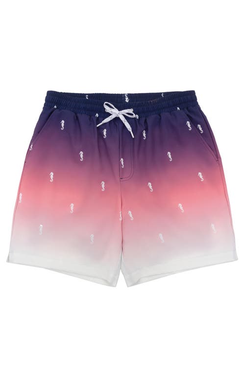 Rokka&rolla Compression Liner Stretch Swim Trunks Upf 50+ In Seahorse