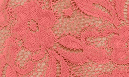 Oh La La Cheri Cortney Lace Bodysuit In Shell Pink