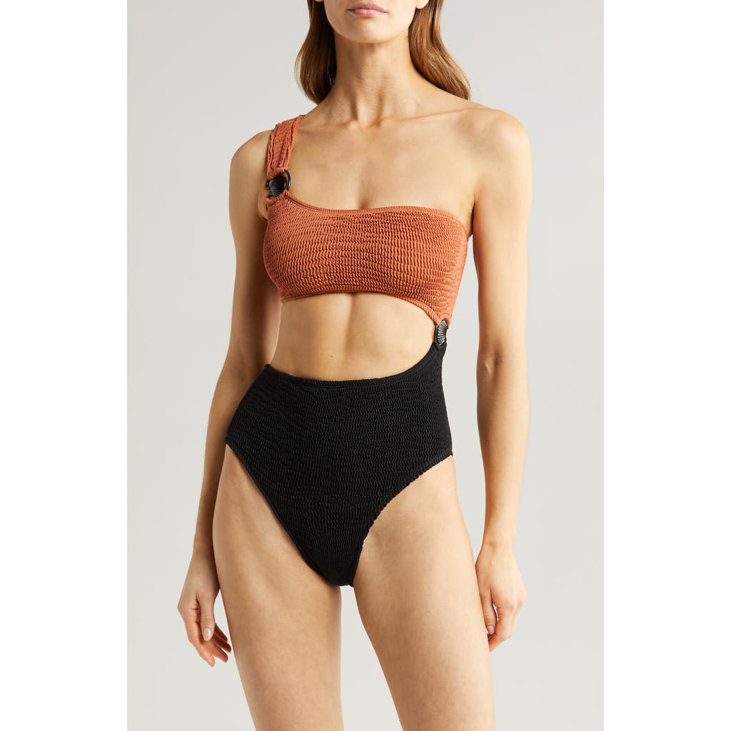 Cleonie Cutout One-shoulder One-piece Swimsuit In Brown