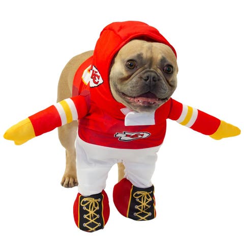 Las Vegas Raiders Running Dog Costume