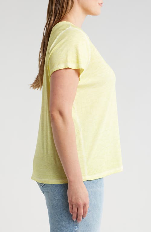 Shop Eileen Fisher Organic Cotton V-neck T-shirt In Citrus