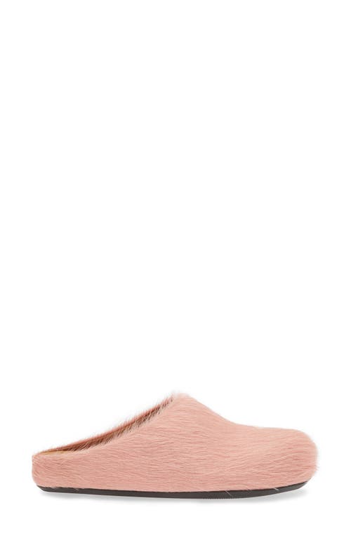 Marni Ssense Exclusive Pink Fussbett Sabot Loafers In Rose