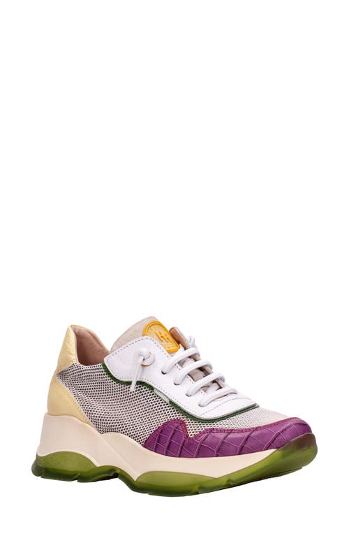 Hispanitas Andes Sneaker in Boston Orchid/White/banana