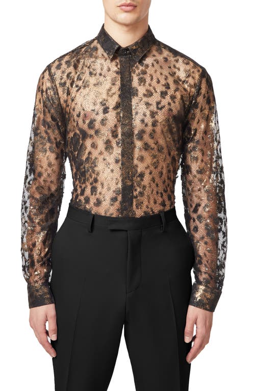 Twisted Tailor Bettles Lace Button-up Shirt In Black Copper