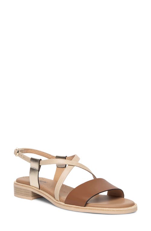 Ankle Strap Sandal in Brown