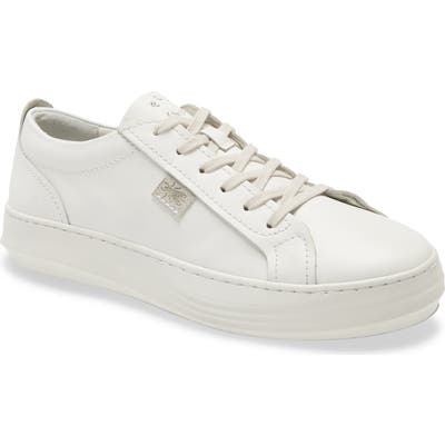 Fly London Cive Sneaker - White