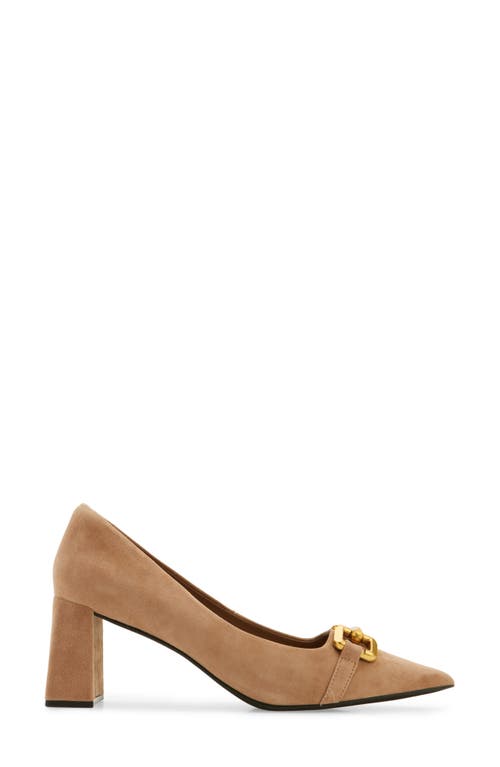 Shop Jeffrey Campbell Lasting Pointed Toe Pump In Dark Tan Suede Bronze