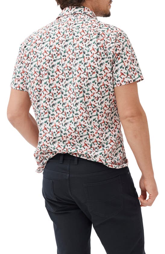 Shop Rodd & Gunn Hillmorton Sports Fit Print Short Sleeve Cotton Button-up Shirt In Dusty Pink