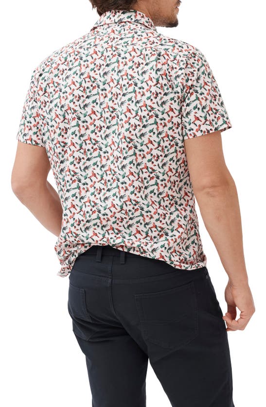 Rodd & Gunn Hillmorton Sports Fit Print Short Sleeve Cotton Button-up Shirt In Dusty Pink